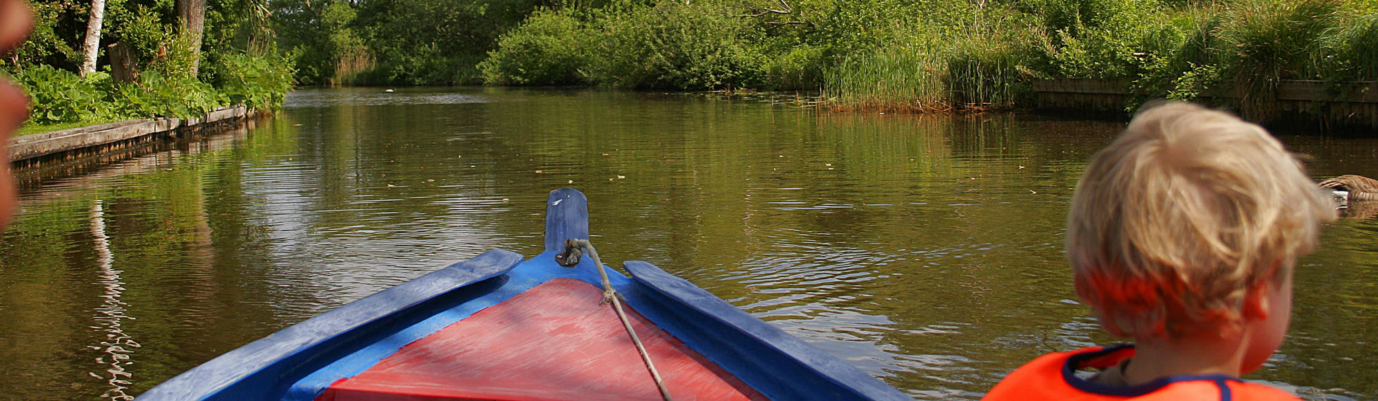 Bootje huren in het prachtige natuurgebied de Weerribben, Giethoorn, Wanneperveen